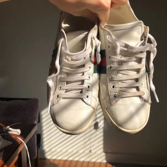 Gucci sneaker with pineapple and bug pattern - Picture 3 of 5